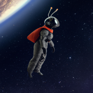 img-criwKSTCpdJpco42ougMhBmJ